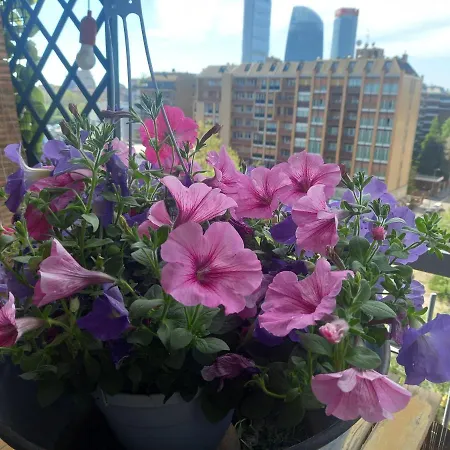 Light Charme Appartement